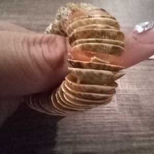 Natural Shell Elastic Bracelet